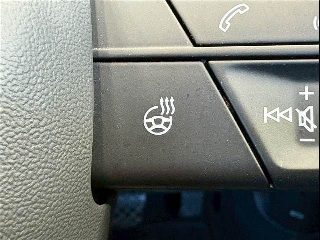 AUDI A4 2021 Image 31