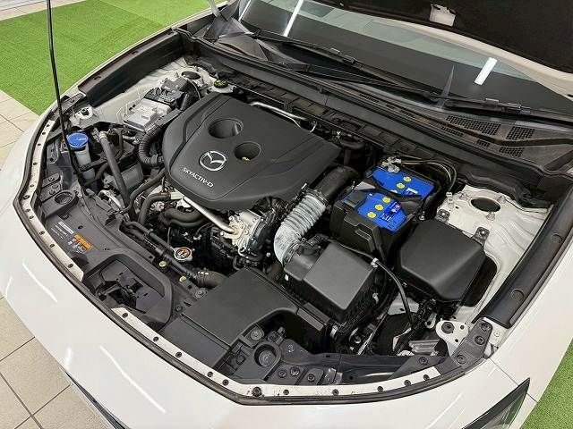 MAZDA CX-30 2019 Image 31