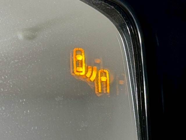 TOYOTA LANDCRUISER 250 2024 Image 31