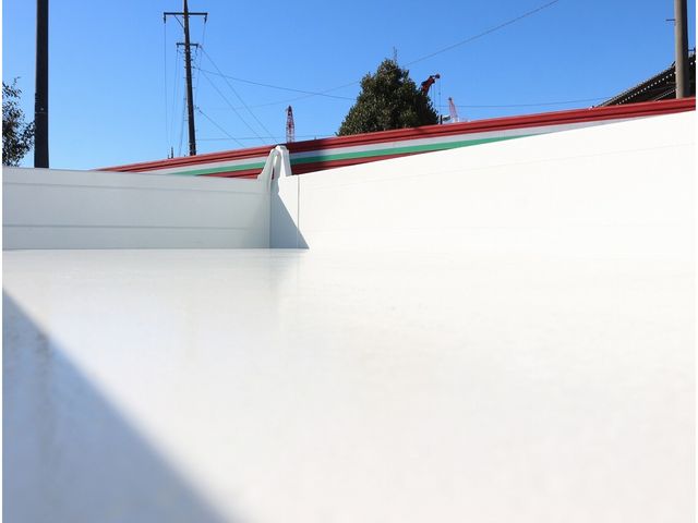 ISUZU ELF 2020 Image 31