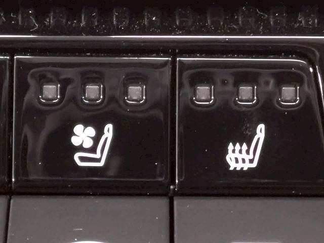 TOYOTA LANDCRUISER 250 2024 Image 31