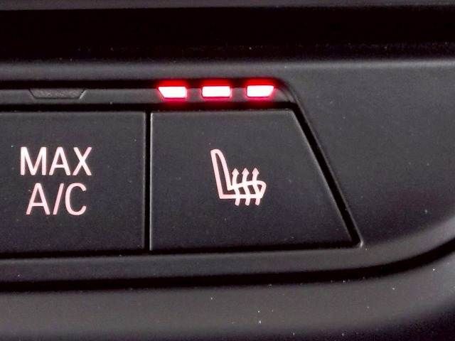 BMW 1SERIES 2020 Image 31