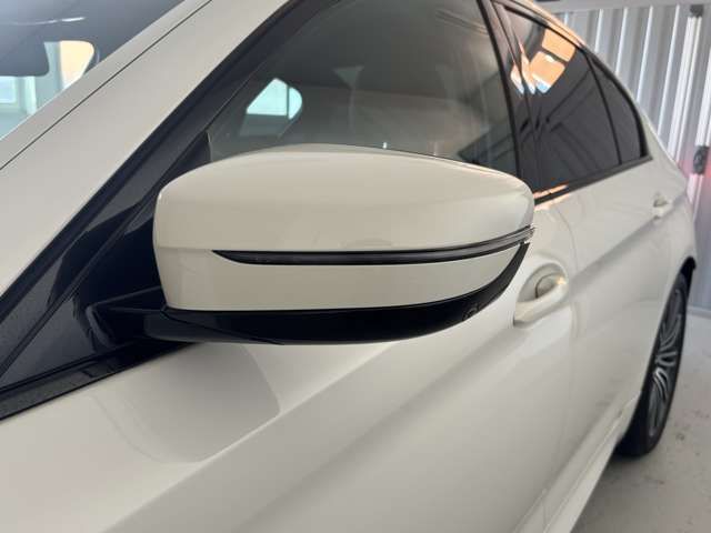 BMW 5SERIES SEDAN 2019 Image 31