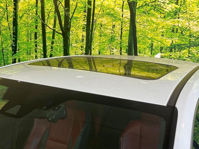 TOYOTA LEXUS NX300H 2019 Image 31