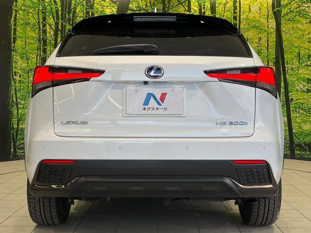 TOYOTA LEXUS NX300H 2019 Image 31