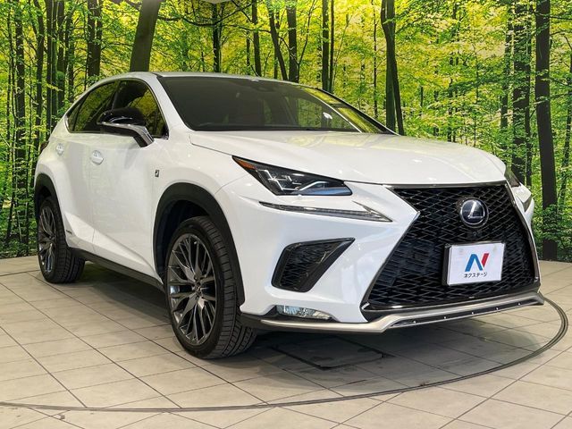 TOYOTA LEXUS NX300H 2019 Image 31