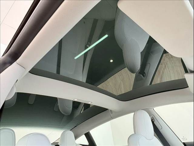 TESLA MODEL 3 2021 Image 31
