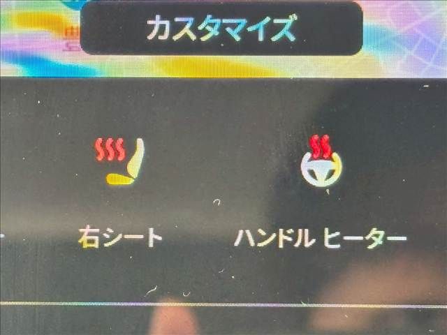 TESLA MODEL 3 2021 Image 31