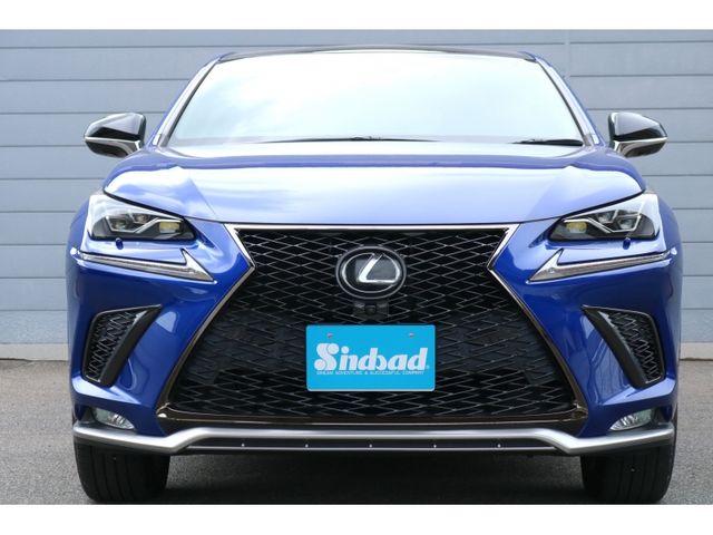 TOYOTA LEXUS NX300 AWD 2020 Image 31
