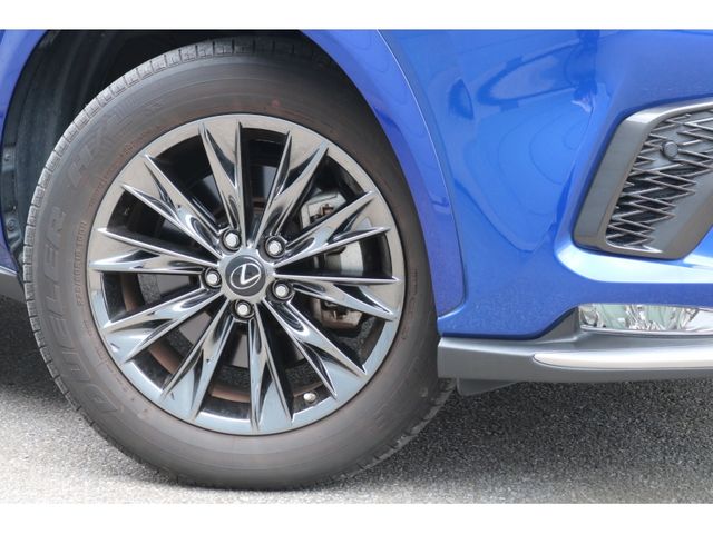 TOYOTA LEXUS NX300 AWD 2020 Image 31