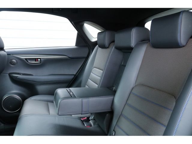 TOYOTA LEXUS NX300 AWD 2020 Image 31