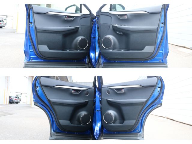 TOYOTA LEXUS NX300 AWD 2020 Image 31