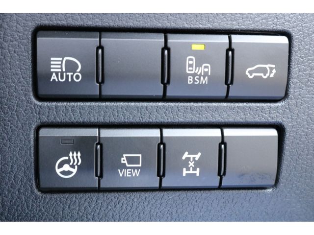 TOYOTA LEXUS NX300 AWD 2020 Image 31