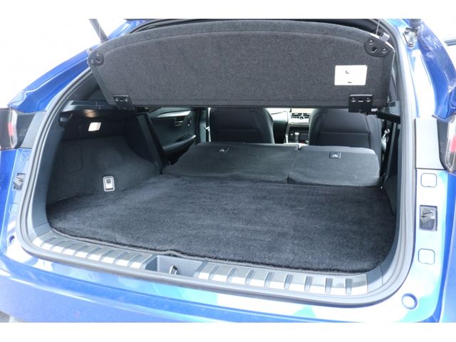 TOYOTA LEXUS NX300 AWD 2020 Image 31