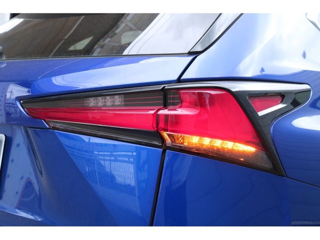 TOYOTA LEXUS NX300 AWD 2020 Image 31