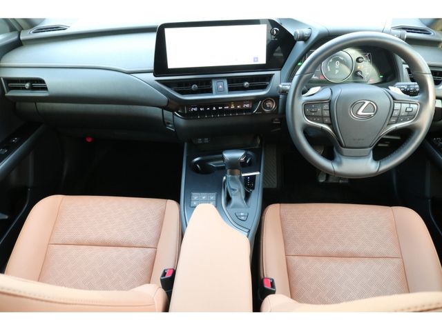 TOYOTA LEXUS UX250H AWD 2022 Image 31