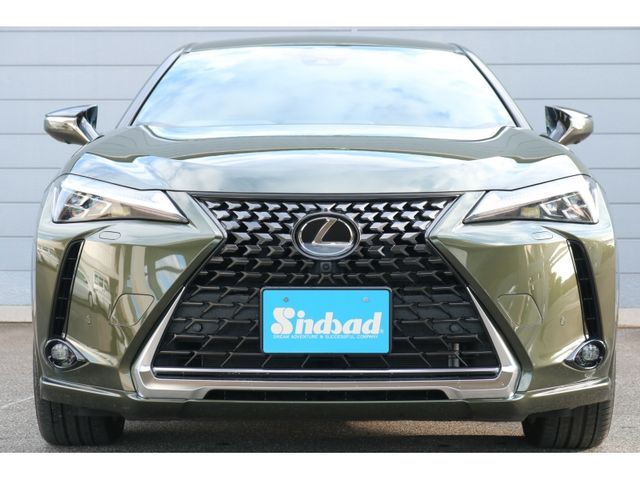 TOYOTA LEXUS UX250H AWD 2022 Image 31