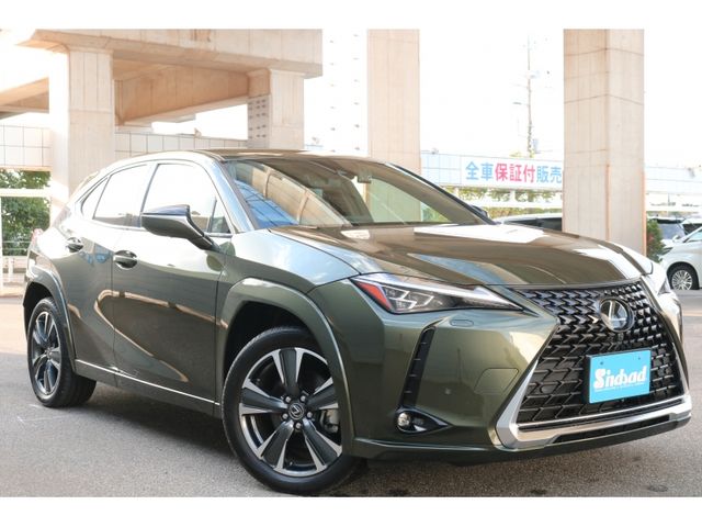 TOYOTA LEXUS UX250H AWD 2022 Image 31