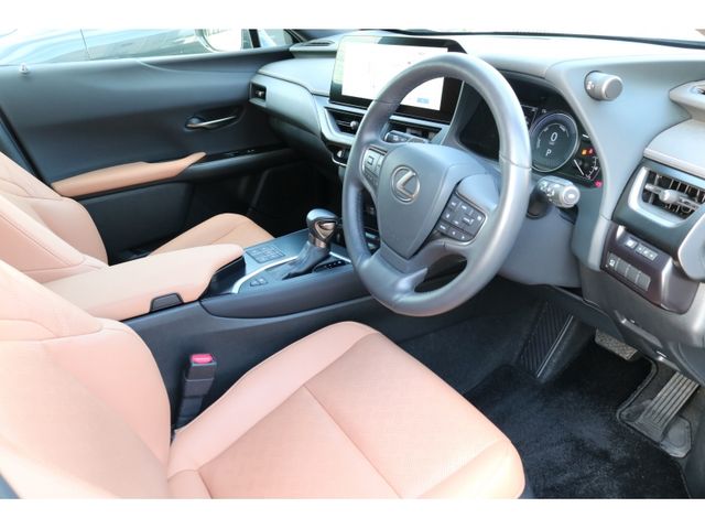 TOYOTA LEXUS UX250H AWD 2022 Image 31