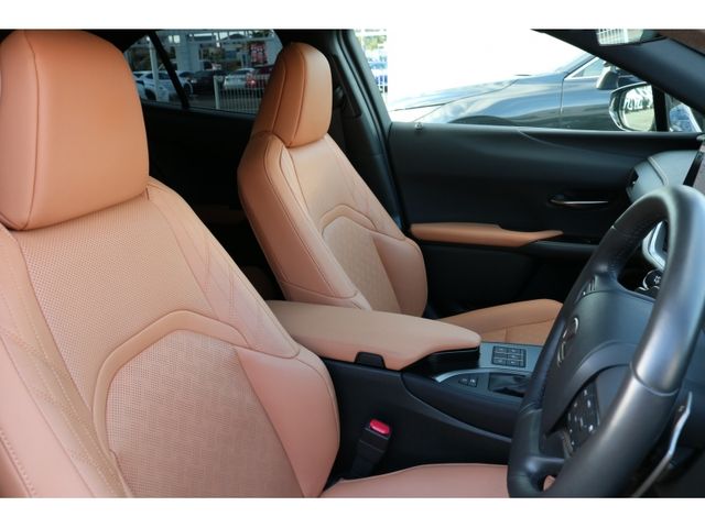 TOYOTA LEXUS UX250H AWD 2022 Image 31