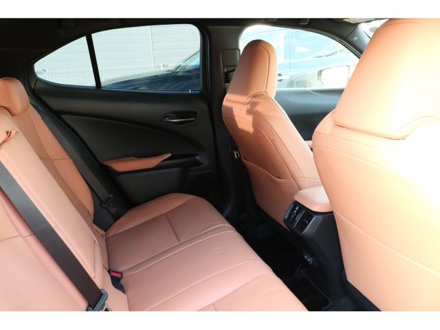 TOYOTA LEXUS UX250H AWD 2022 Image 31