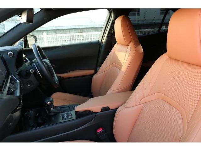 TOYOTA LEXUS UX250H AWD 2022 Image 31