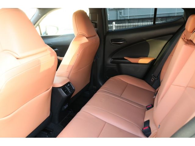 TOYOTA LEXUS UX250H AWD 2022 Image 31