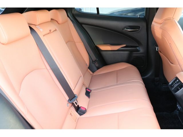 TOYOTA LEXUS UX250H AWD 2022 Image 31