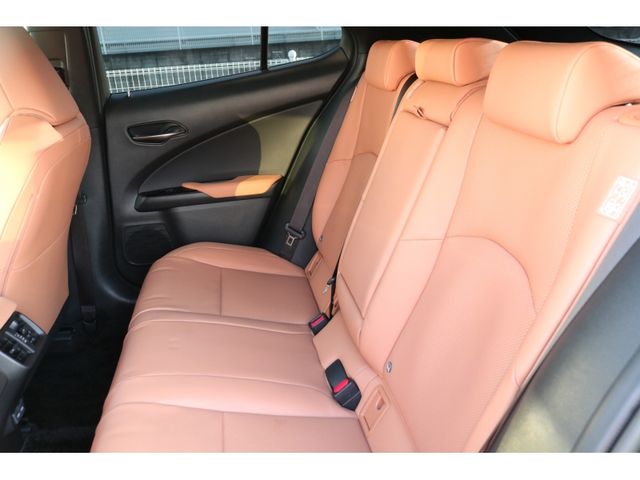 TOYOTA LEXUS UX250H AWD 2022 Image 31