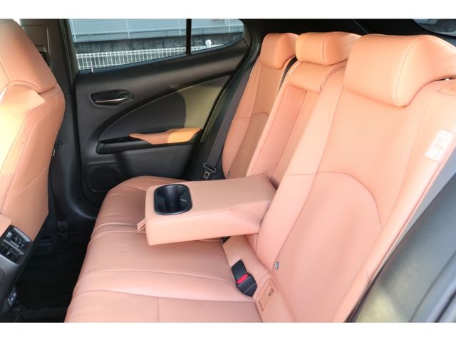 TOYOTA LEXUS UX250H AWD 2022 Image 31