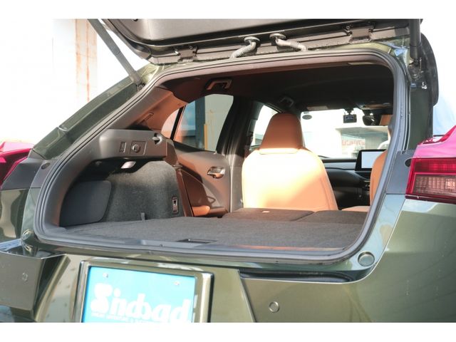 TOYOTA LEXUS UX250H AWD 2022 Image 31