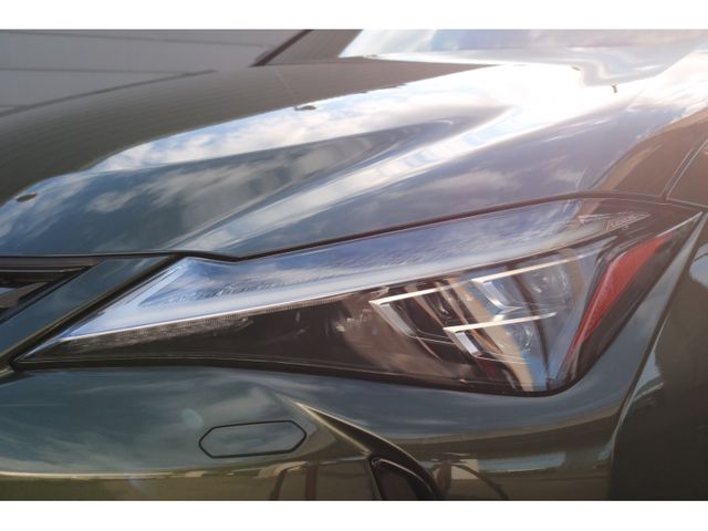 TOYOTA LEXUS UX250H AWD 2022 Image 31