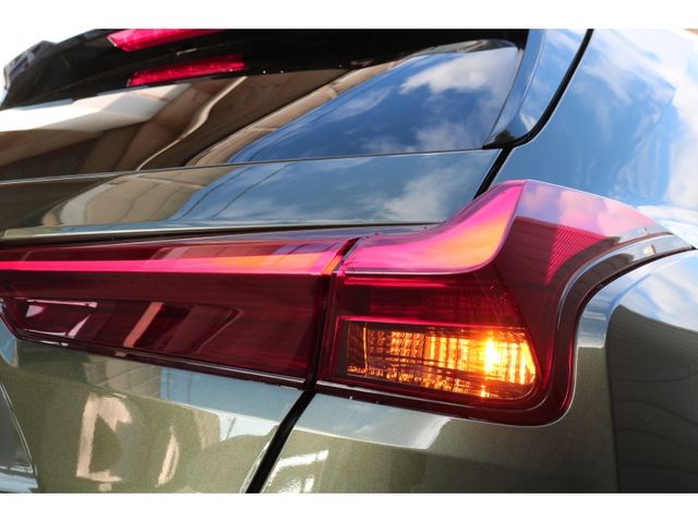 TOYOTA LEXUS UX250H AWD 2022 Image 31