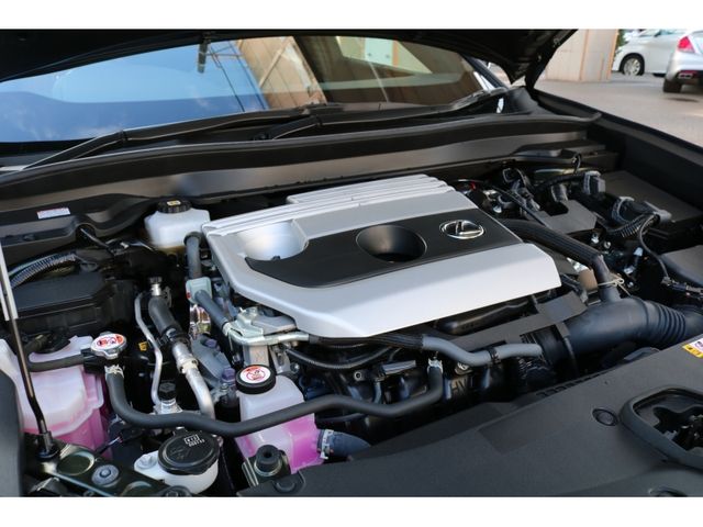 TOYOTA LEXUS UX250H AWD 2022 Image 31