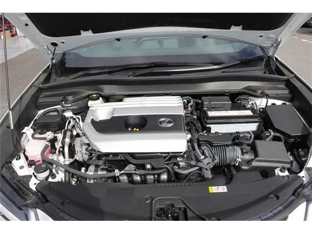 TOYOTA LEXUS UX200 2022 Image 31