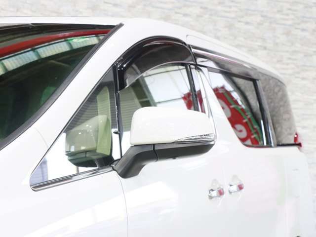 TOYOTA ALPHARD 2021 Image 31