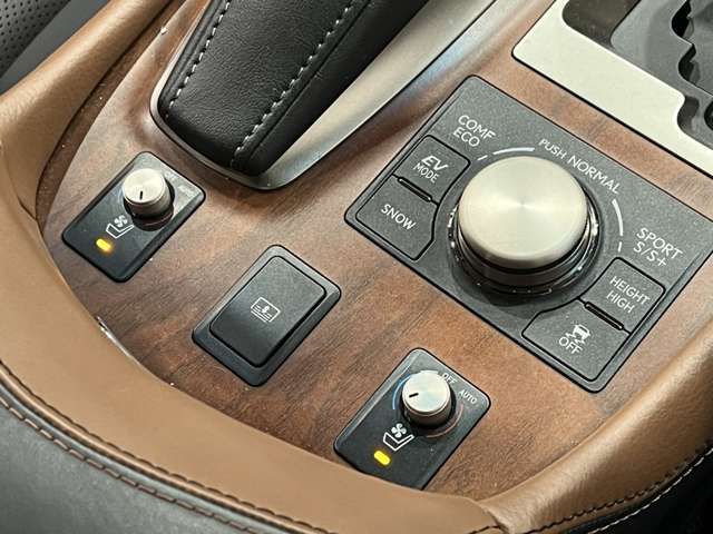 TOYOTA LEXUS LS600H 2015 Image 31