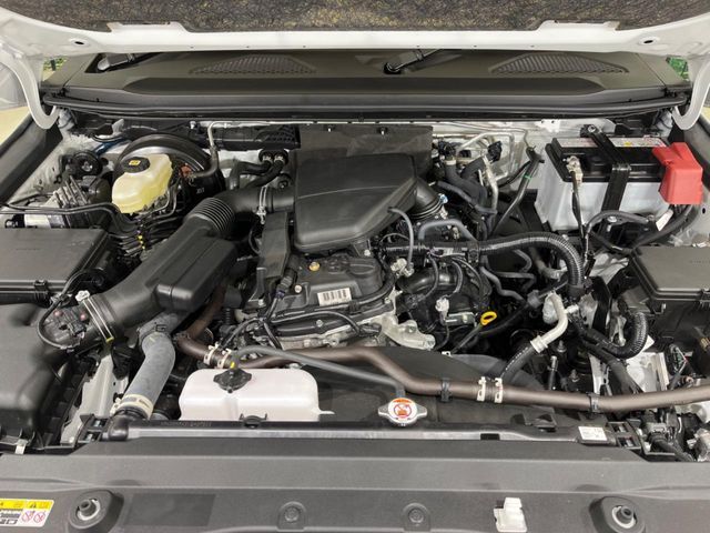 TOYOTA LANDCRUISER 250 2024 Image 31