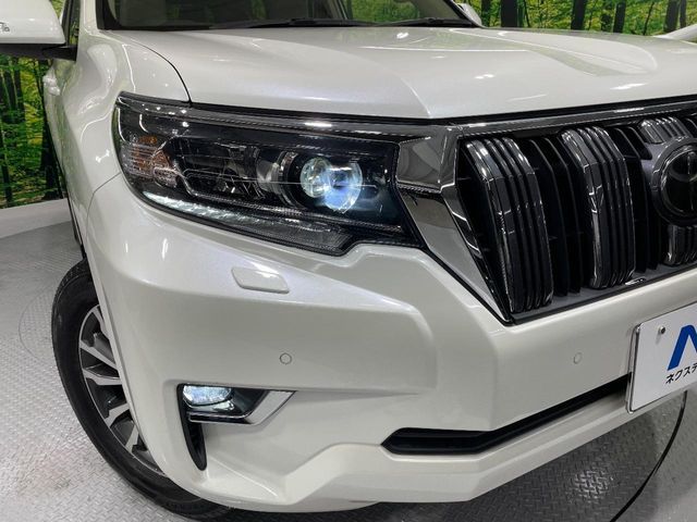 TOYOTA LANDCRUISER PRADO 2019 Image 31