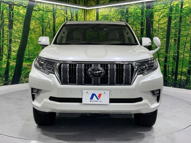 TOYOTA LANDCRUISER PRADO 2019 Image 31