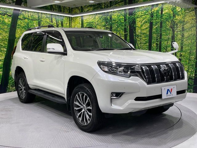 TOYOTA LANDCRUISER PRADO 2019 Image 31
