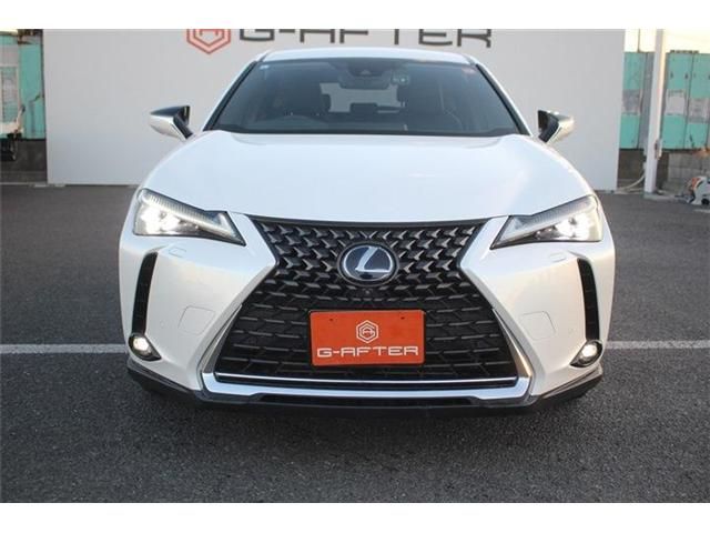 TOYOTA LEXUS UX250H 2019 Image 31