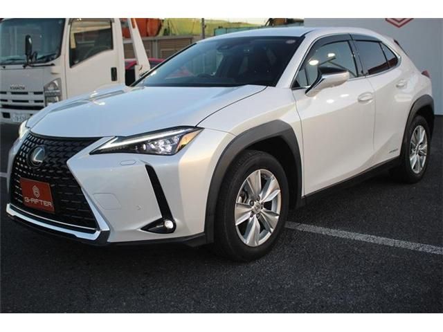 TOYOTA LEXUS UX250H 2019 Image 31
