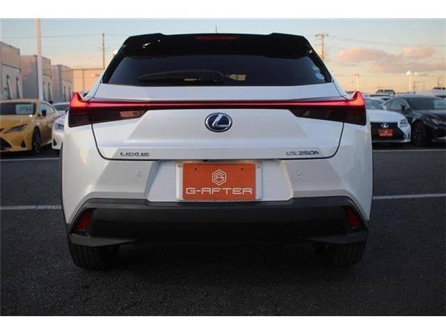 TOYOTA LEXUS UX250H 2019 Image 31