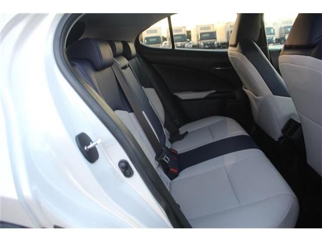 TOYOTA LEXUS UX250H 2019 Image 31