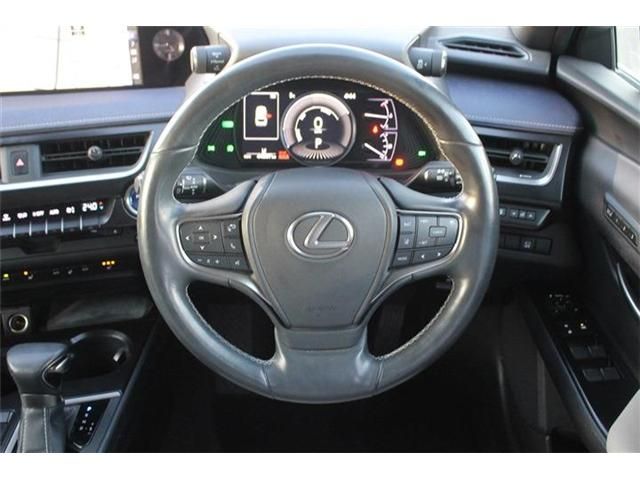 TOYOTA LEXUS UX250H 2019 Image 31