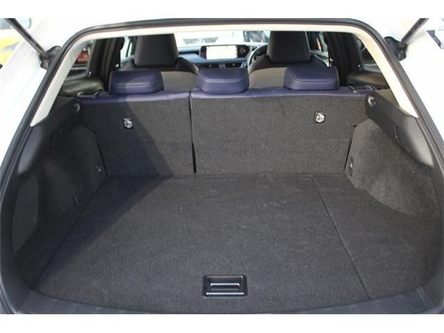 TOYOTA LEXUS UX250H 2019 Image 31