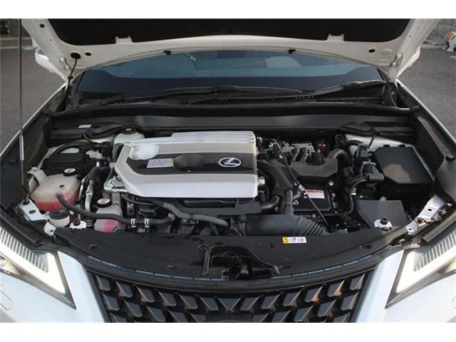 TOYOTA LEXUS UX250H 2019 Image 31