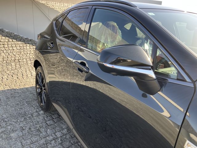 TOYOTA LEXUS NX350H 2023 Image 31