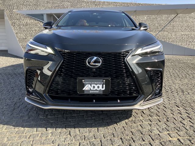 TOYOTA LEXUS NX350H 2023 Image 31